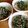 jagao's cooksnap of when they made 元気が出る簡単麺、たっぷりニラ混ぜそば。.