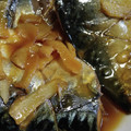 クック5ST63B☆'s cooksnap of when they made 超簡単☆基本の定番！さばの味噌煮♪♪♪.