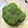 azbjbn's cooksnap of when they made ブロッコリーの一先ず保存はこれ！.