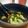 抹茶ソーダ's cooksnap of when they made 大きめの野菜のグリル？ソテー？玉ねぎ.