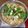 milkseiki君's cooksnap of when they made ★博多名物★　みそ味のモツ鍋♪.