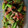 あんこだよ。's cooksnap of when they made 激うま！さば味噌缶のシャキシャキ和え.