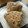ayayahoney's cooksnap of when they made シソとゴマの風味焼きおにぎり.