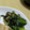 きなりん＊'s cooksnap of when they made 簡単☆小松菜としめじのバター醤油炒め.