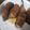 issao's cooksnap of when they made 冷凍ポテトで簡単ウマっ！炙り肉巻きポテト.