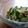 ふぃらでるふぃあ's cooksnap of when they made キュウリとみょうがの醤油和え.