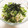 珈琲人's cooksnap of when they made ツナ缶☆玉ねぎと水菜の和風ツナマヨサラダ.