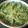 Nöööla♡'s cooksnap of when they made なんにでも使える常備菜♪ねぎみそ.