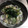 きみがん's cooksnap of when they made 丸亀風♫あさりうどん.