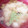 Nöööla♡'s cooksnap of when they made かみなり豆腐と焼きネギの味噌汁.