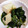 ももんじゃー's cooksnap of when they made 油揚げと小松菜の煮浸し.