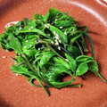 cocomin23's cooksnap of when they made こしあぶらの和えもの.