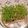 みちばたの花's cooksnap of when they made 豆苗の育て方☆.