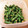 キュピコ's cooksnap of when they made 【定番おかず】インゲン豆のごま和え.