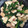 るんろこ's cooksnap of when they made ぷりっぷり♪イカとにんにくの芽の中華炒め.