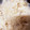 クックFJ5BNF☆'s cooksnap of when they made 簡単＊ツナと新玉ねぎの炊き込みご飯.