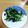 ねこのかあさん's cooksnap of when they made ☆水菜の磯和え☆ 素早く一品！.