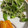 yuki♡70's cooksnap of when they made 無限水菜　簡単常備菜.