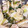 seatome's cooksnap of when they made 梅干しだけで簡単！鶏ごぼうの梅炒める.