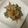 こりんママ8's cooksnap of when they made 豚こまのバタポン紫蘇チーズ炒め.
