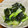 QPはにー's cooksnap of when they made 【５分で作る】青梗菜とわかめのナムル.
