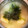 ☆ドキンちゃん☆”'s cooksnap of when they made 生青のりで【青のりと豆腐のお味噌汁】.