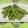 クックうさのおもち's cooksnap of when they made ✿枝豆のあっさりお漬物✿.