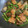 ＋SUN3's cooksnap of when they made さばとニラのオイスター炒め.