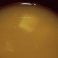 ヨシヨッシー's cooksnap of when they made くずし豆腐とえのきの白だし味噌汁.