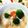 クッキン坊主's cooksnap of when they made 圧力鍋使用！絶品ホワイトシチュー.
