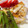 みずまんじゅう♪'s cooksnap of when they made 簡単！鱈のムニエル.