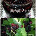 ひっこ's cooksnap of when they made 桑の実ジャム.