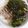 くむちん's cooksnap of when they made じゃこと梅干しと韓国海苔の混ぜご飯.