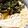 クック7SF4MX☆'s cooksnap of when they made 簡単☆わかめにゅうめん.