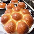 kaz～kaz～⭐'s cooksnap of when they made 手ごね簡単ちぎりパン♡夜こねて朝焼きたて.