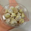 papikun's cooksnap of when they made 【簡単】サクサク メレンゲクッキー♪.
