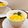 horseland's cooksnap of when they made ネーブルオレンジヨーグルト.