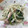 クックC1ZBWP☆'s cooksnap of when they made ★もやしとツナで1品！ほうれん草ver..