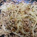 かぶと虫大好き's cooksnap of when they made MatsCafe特製♪おつまみ挽肉もやし.