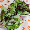 赤い電話's cooksnap of when they made サニーレタスは主役! 無限レタス.