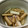ラスティー君パパ's cooksnap of when they made たたきごぼうの酢の物☆.