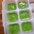 ☆ゆいきん☆'s cooksnap of when they made ブロッコリー ペースト* 離乳食初期.