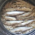 シャムもどき's cooksnap of when they made コアユ（小鮎）の炊き込みご飯.