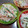 ひっこ's cooksnap of when they made 簡単！はるさめマヨサラダ♪.