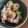 kdm915's cooksnap of when they made チンゲン菜と豚肉の生姜しょう油炒め.
