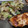 fu♪♪'s cooksnap of when they made キャベツと舞茸の柚子胡椒炒め.