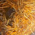 にゃんちゅうちゃ's cooksnap of when they made お弁当や副菜にぴったり！きんぴらごぼう.