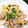 クックYrie☆'s cooksnap of when they made 簡単♪白菜と豚バラの炒め煮.