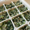 れでよと's cooksnap of when they made 離乳食★ほうれん草としらすの胡麻和え.