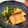 ERI8o8's cooksnap of when they made 大和真菜（やまとまな）の煮びたし.